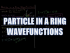 Particle in a Ring Wavefunctions