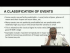 Predictability: A stochastic view and summary