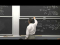 Electrical Double Layer, Size Effects in Phase Change