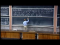 Similar Matrices and Jordan Form