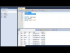 The UPDATE Query