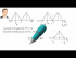 A: Stability and Determinacy in Trusses