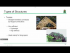 Classification of Structures & Support Reactions