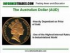 Forex Trading - Characteristics of the Main Currencies
