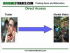 Forex Trading - Understanding the Bid/Ask Spread
