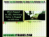 Determining the Fate of the US Dollar Part II