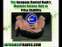 A Trader's Introduction to the Euro, Part III