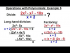 Operations with Polynomials: Example 5