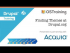 Finding Themes at Drupal.org