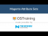 Magento Attribute Sets