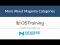 More About Magento Categories