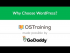 Why Choose WordPress?