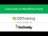 Comments on WordPress Posts