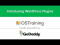 Introducing WordPress Plugins