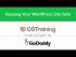 Keeping Your WordPress Site Safe