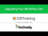 Upgrading Your WordPress Site