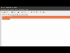Executing Multiple Scripts