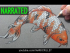 How to Draw a Fish (