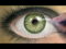 How to Paint a Realistic Eye [Coloring Tutorial]