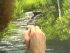 Quiet Stream