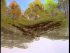 Bubbling Stream