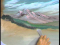 Mountain Challenge