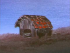 The Windmill