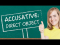 The Accusative Case - Part 1: The Direct Object