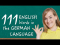 111 English Words in the German Language