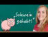 Funny German Expressions Using the Word Pig - Vocab and Expressions