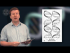 The Structure of Life: Cells