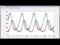 Predator-Prey Equations