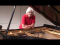 The Piano