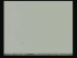 Analysis of Strain IV