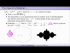 The Mandelbrot Set