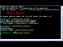 How to Commit Directly to the Repository
