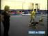 Splits