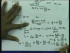 Lecture 9