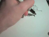 Finding the Derivative Using Its Definition