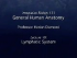 Lymphatic System