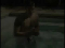 Gliding Through Water