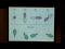 Valence Bond Theory
