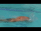 How to Flip-Turn When Swimming Freestyle