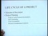 Overview: Project and Production Management (Part 2)