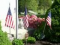 Memorial Day