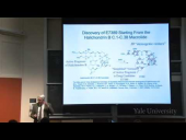 Communicating Molecular Structure in Diagrams and Words