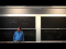 Wigner-Eckart Theorem