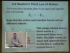 Newton's Third Law