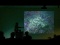 Mark Showalter: Marine Biodiversity