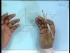 Discrete Time Dynamical Systems